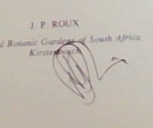 Cape Peninsula ferns: A guide to the fern species of the Cape Peninsula, with black and white drawings and identification keys of all recognised species - ( Signed by the author J.P. Roux))