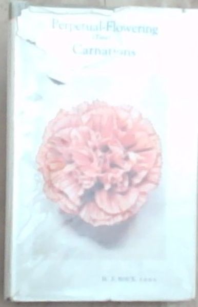 Perpetual-Flowering [Tree] Carnations 1946