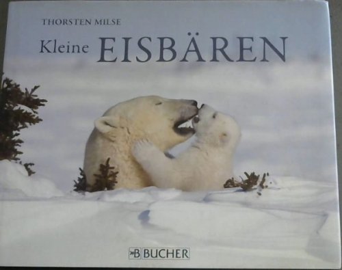 Kleine Eisbren
