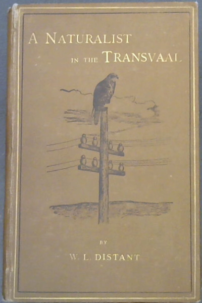 A Naturalist in The Transvaal