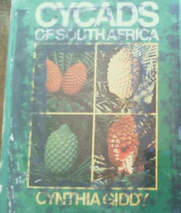 Image for Cycads of South Africa Cycads of South Africa