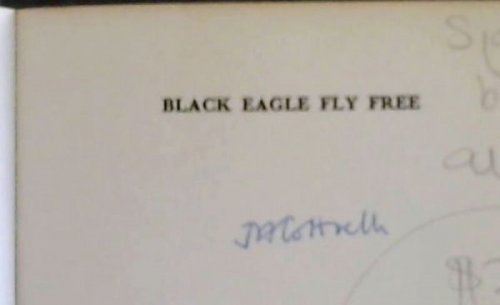 Image for Black eagle fly free Black eagle fly free