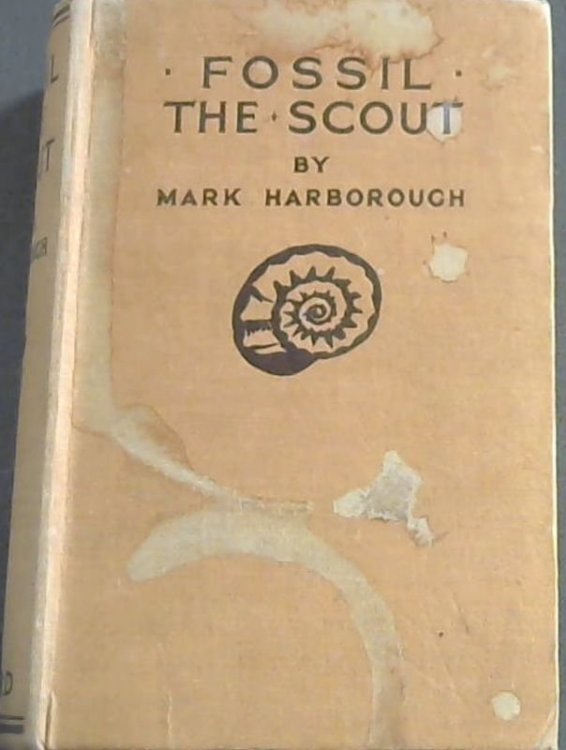 Fossil The Scout