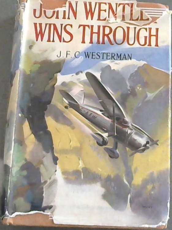 John Wentley Wins Through