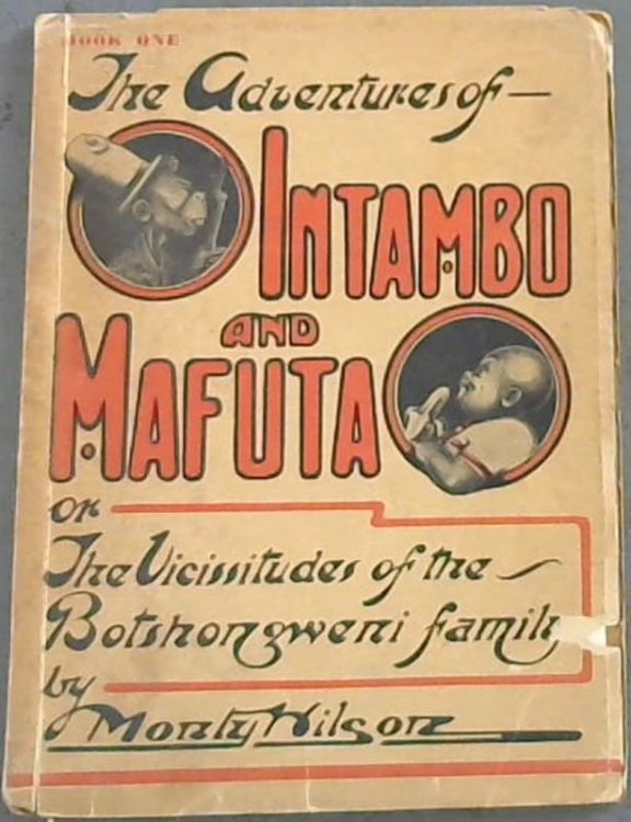 The Adventures of Intambo and Mafuta on the Vicissitudes of the Botshongweni Family (Book 1)