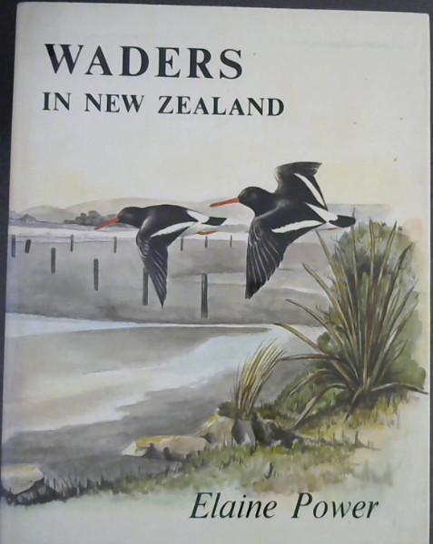Waders in New Zealand