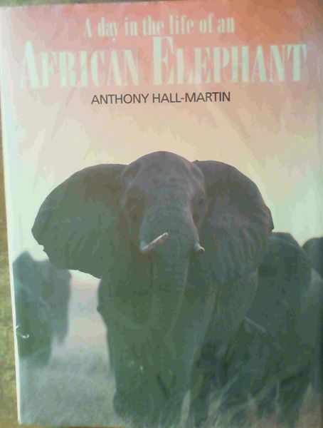 A Day in the Life of an African Elephant