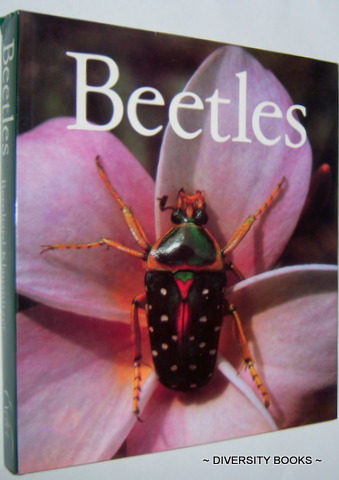 BEETLES