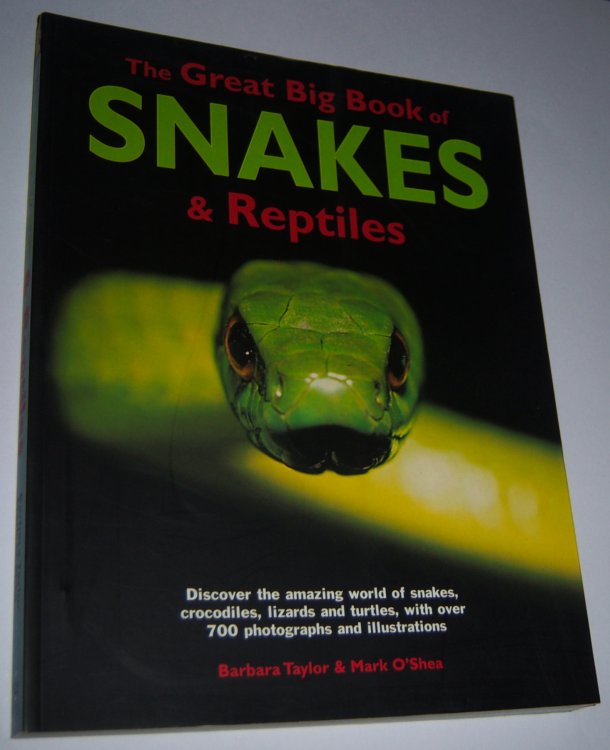 Image for THE GREAT BIG BOOK OF SNAKES AND REPTILES THE GREAT BIG BOOK OF SNAKES AND REPTILES