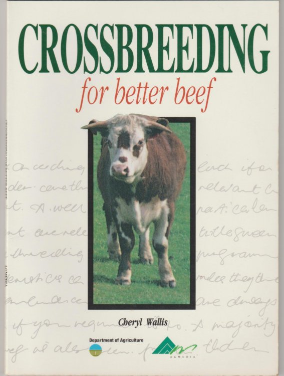 CROSSBREEDING FOR BETTER BEEF