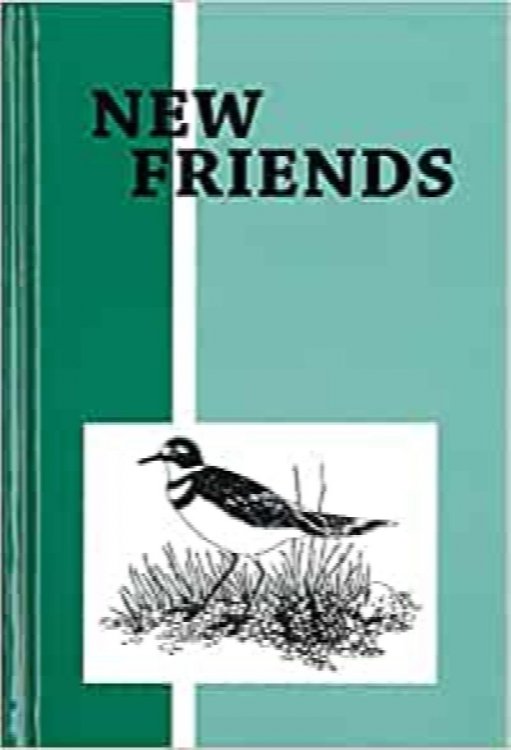 New Friends Grade 3 (Pathway Reading Series)