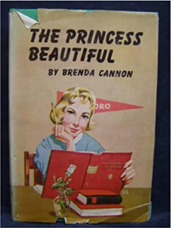 The Beautiful Princess