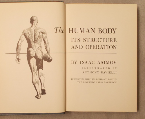 Image for The Human Body: its Structure and Operation The Human Body: its Structure and Operation