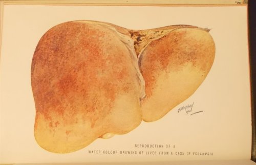 Image for Clinical Obstetrics, with 47 Illustrations Clinical Obstetrics, with 47 Illustrations