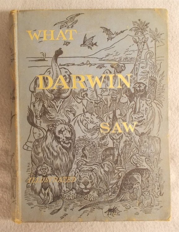 Image for What Mr. Darwin Saw in His Voyage Round the World in the Ship 'beagle' What Mr. Darwin Saw in His Voyage Round the World in the Ship 'beagle'