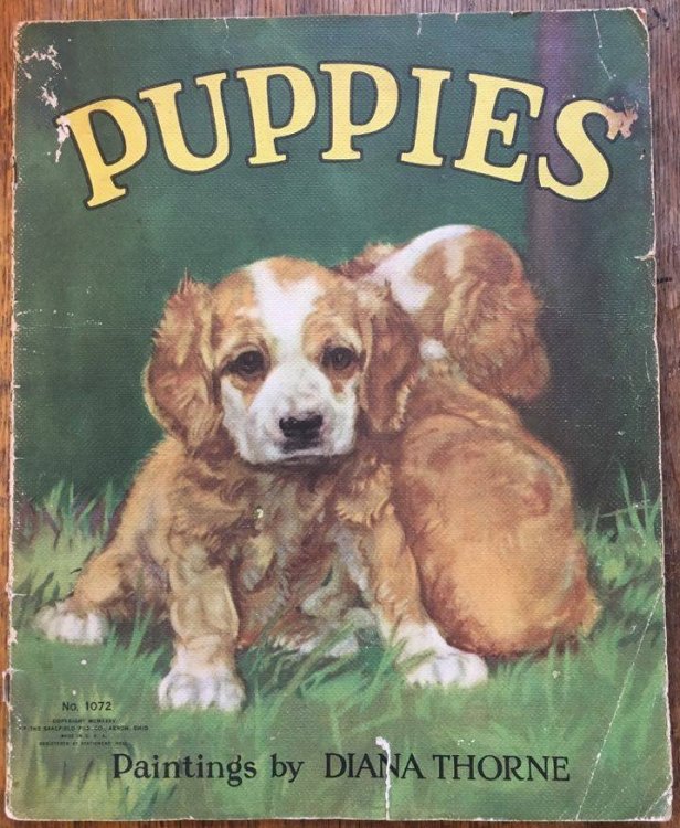 Puppies - Paintings By Diana Thorne