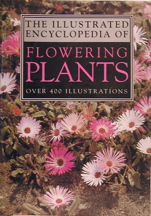 Image for The Illustrated Encyclopedia of Flowering Plants The Illustrated Encyclopedia of Flowering Plants