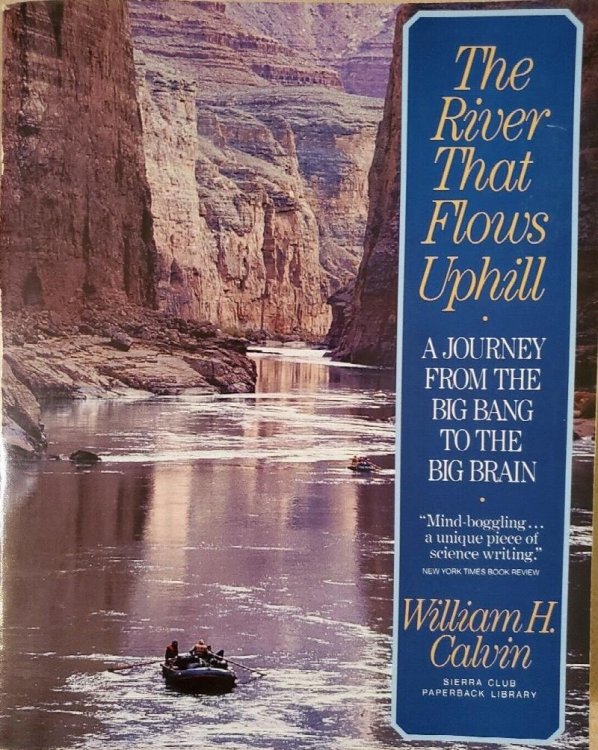 Image for The River that Flows Uphill: A Journey From the Big Bang to the Big Brain The River that Flows Uphill: A Journey From the Big Bang to the Big Brain
