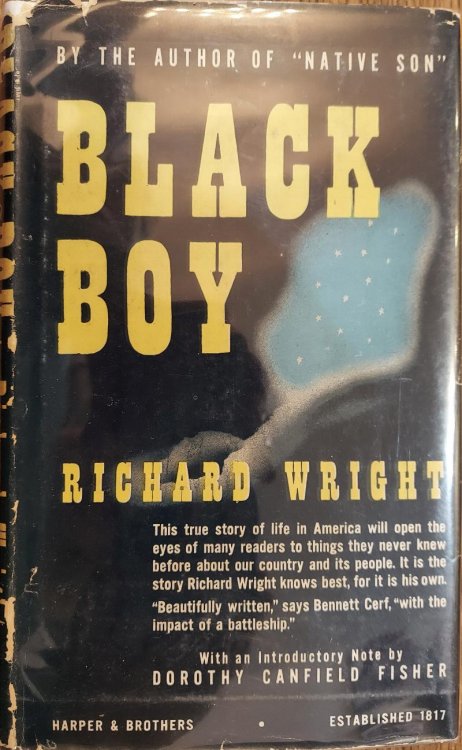 Black Boy : A Record of Childhood and Youth