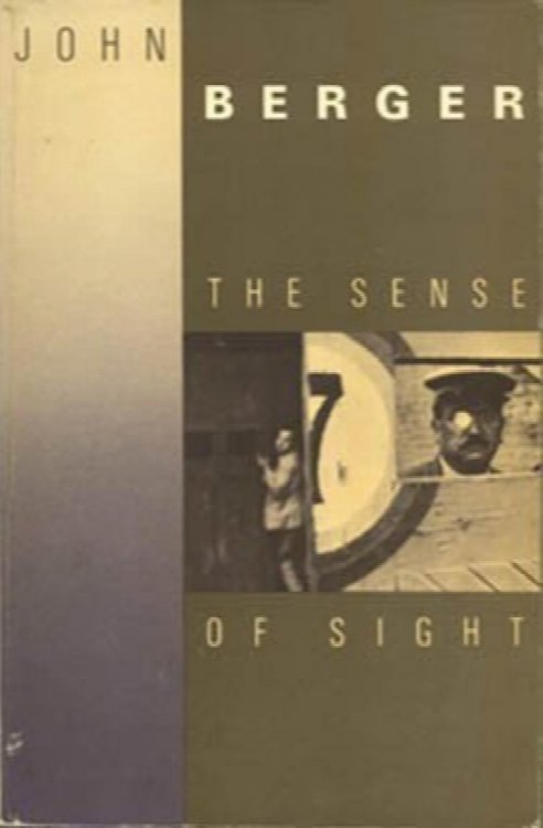 The Sense of Sight