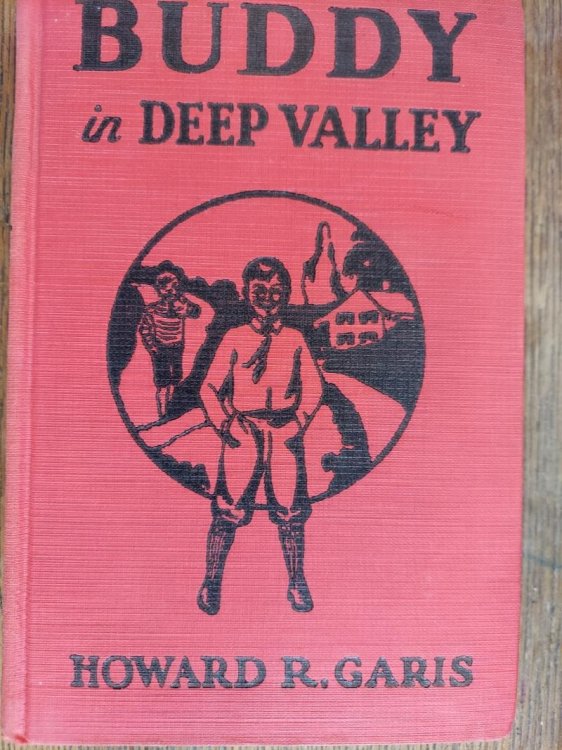 Buddy in Deep Valley or a Boy on a Bee Farm