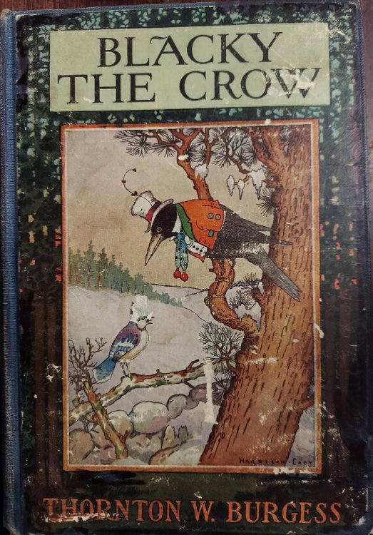 Blacky the Crow