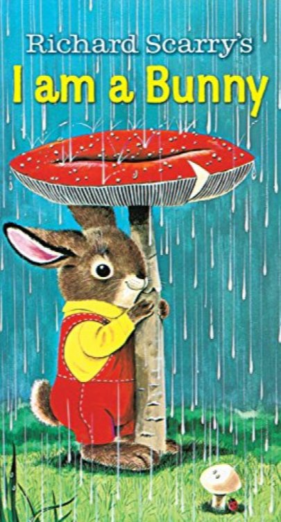 I Am a Bunny (board book)