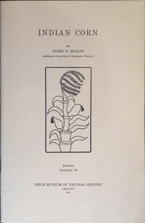 Image for Indian Corn (Botany Leaflet #14) Indian Corn (Botany Leaflet #14)