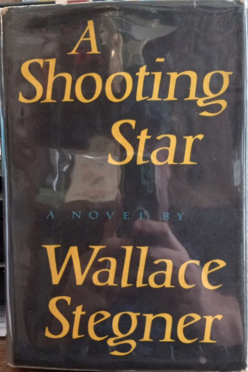 Image for A Shooting Star A Shooting Star