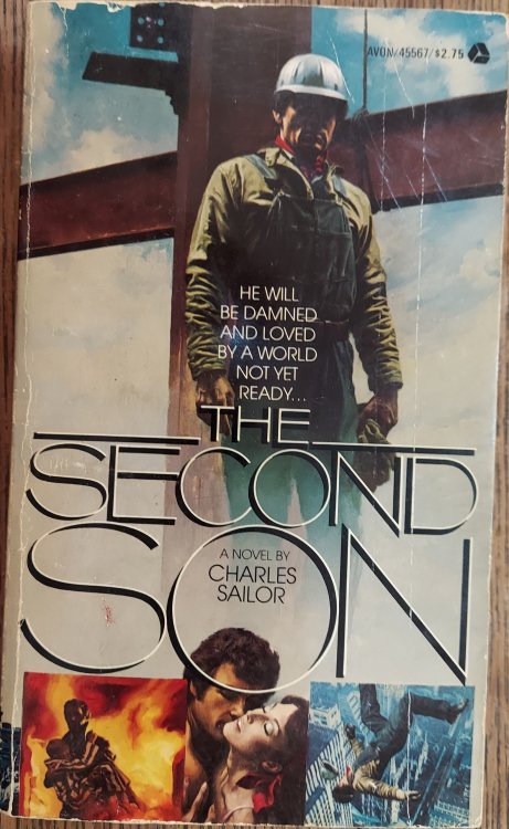 Image for The Second Son The Second Son