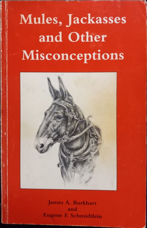 Mules, Jackasses and Other Misconceptions
