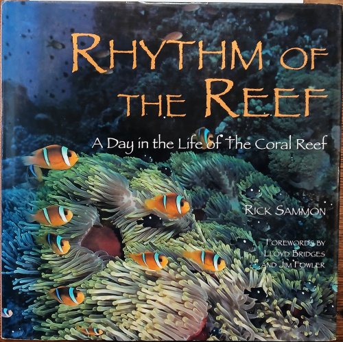 Rhythm of the Reef: A Day in the Life of the Coral Reef