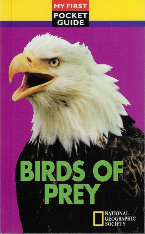 Birds of prey (My first pocket guide)