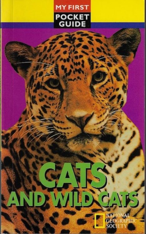 Cats and wild cats (My first pocket guide)