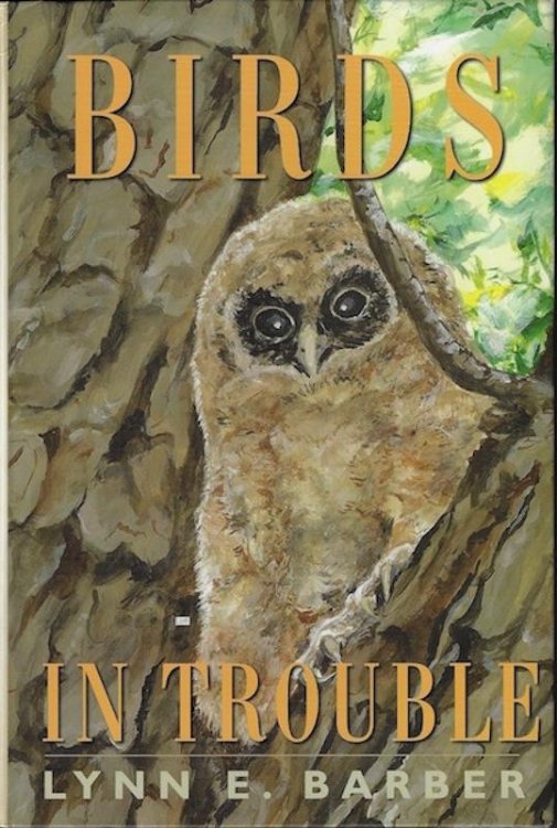 Birds in Trouble