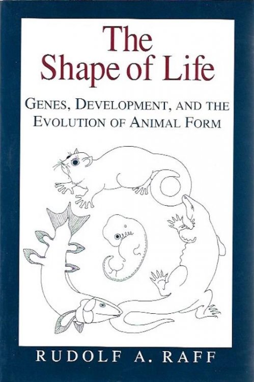 The Shape of Life: Genes, Development, and the Evolution of Animal Form