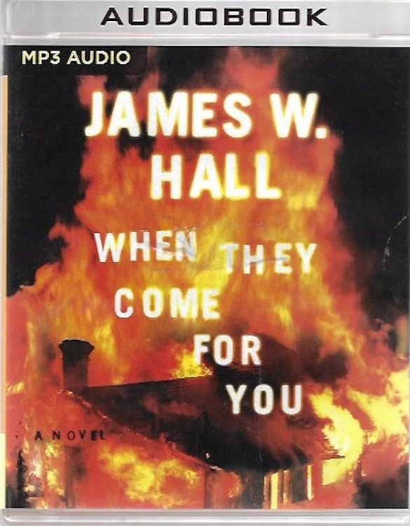 When They Come for You (Harper McDaniel)
