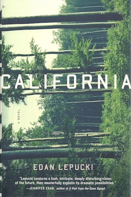 Image for California: A Novel California: A Novel