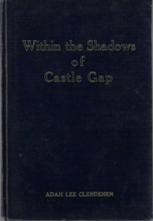 Image for Within the Shadows of Castle Gap Within the Shadows of Castle Gap