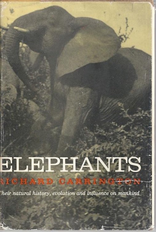 Image for Elephants: Their Natural History, Evolution and Influence on Mankind Elephants: Their Natural History, Evolution and Influence on Mankind