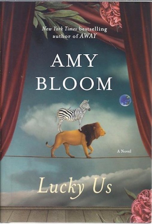 Image for Lucky Us: A Novel Lucky Us: A Novel
