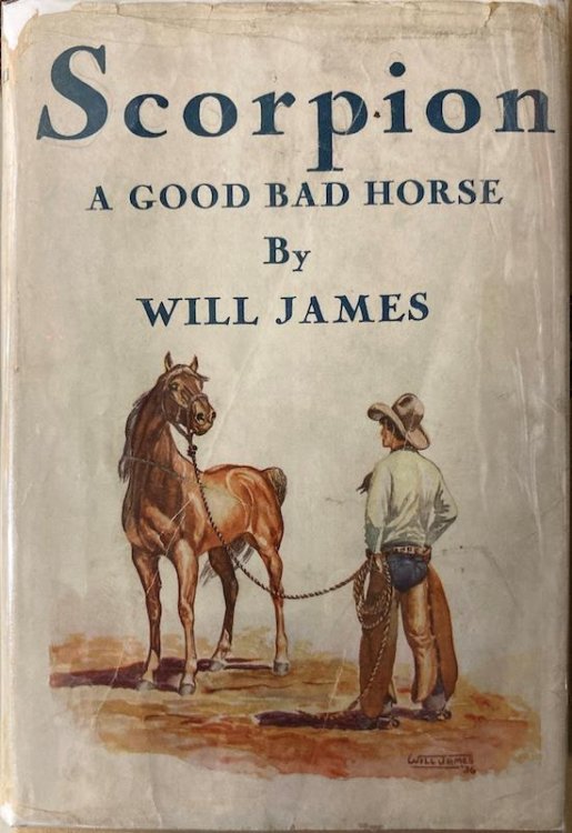Scorpion A Good Bad Horse. Illustrated by the Auhtor