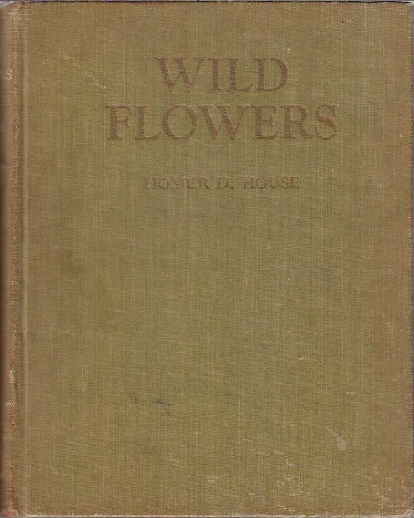 Image for Wild Flowers Wild Flowers