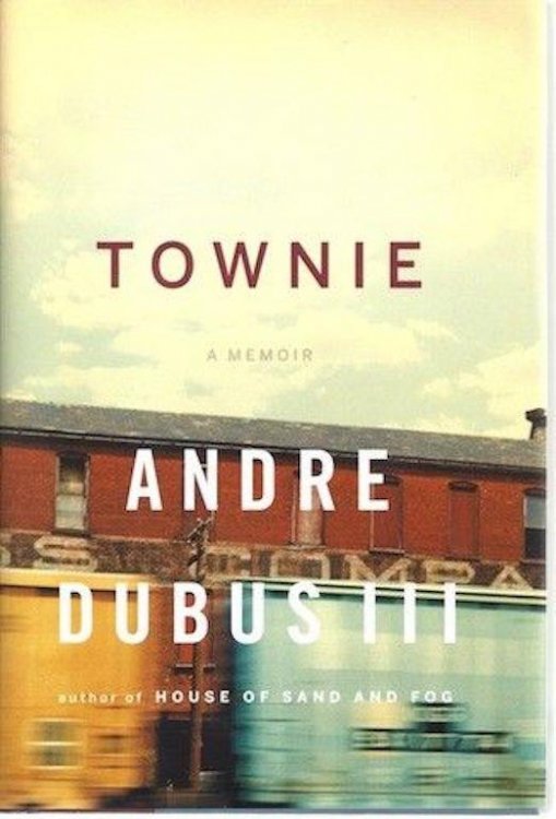 Townie: A Memoir