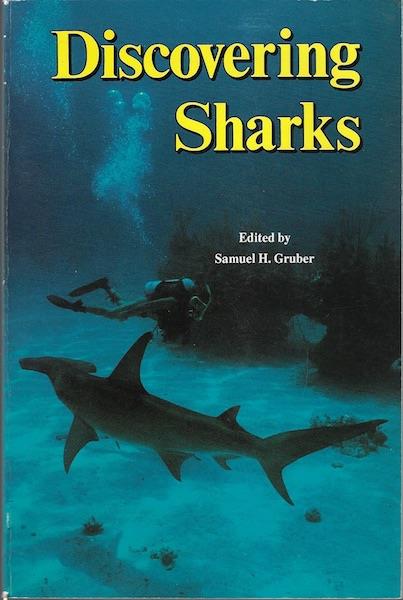 Image for Discovering Sharks Discovering Sharks