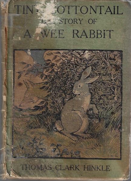 Tiny Cottontail: The story of a wee rabbit and his friends