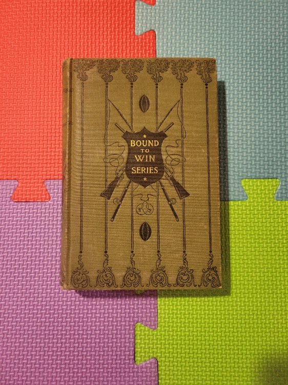 Image for Bound To Be An Electrician, Or, Franklin Bell's Success Bound To Be An Electrician, Or, Franklin Bell's Success