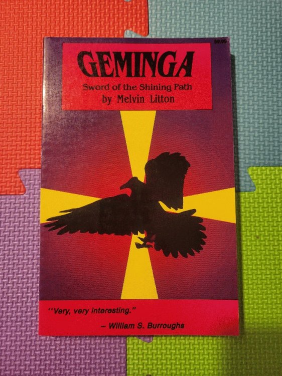Image for Geminga: Sword of the Shining Path Geminga: Sword of the Shining Path