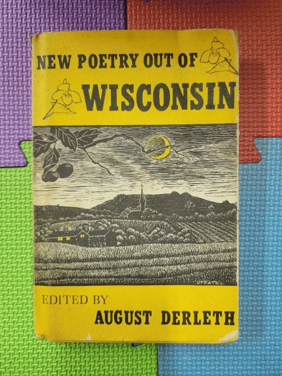 Image for New Poetry Out of Wisconsin New Poetry Out of Wisconsin