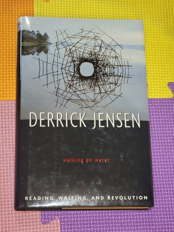 Image for Walking on Water: Reading, Writing, and Revolution Walking on Water: Reading, Writing, and Revolution